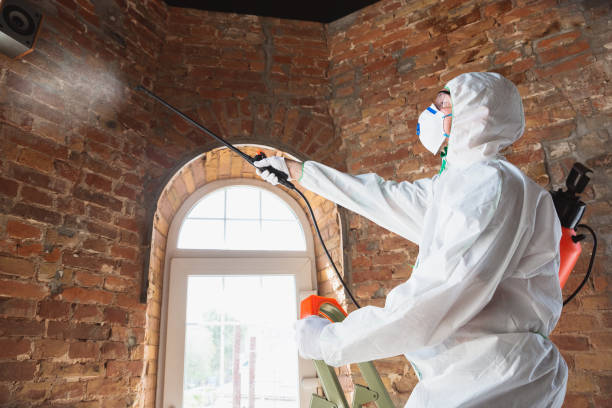 Best Residential Mold Inspection & Testing in Thomaston, GA