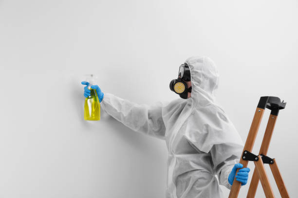 Reliable Thomaston, GA Mold Removal Solutions